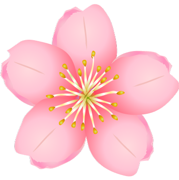 桜の花